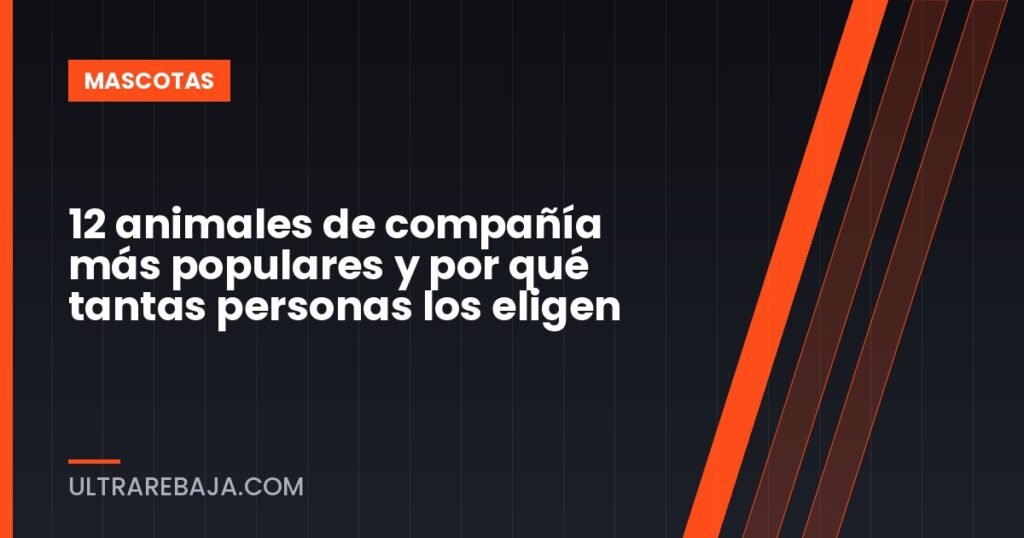 12 animales de compañía más populares y por qué tantas personas los eligen