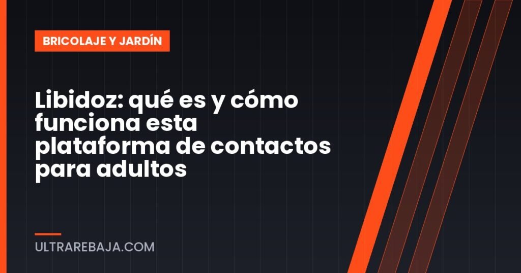 Libidoz: qué es y cómo funciona esta plataforma de contactos para adultos