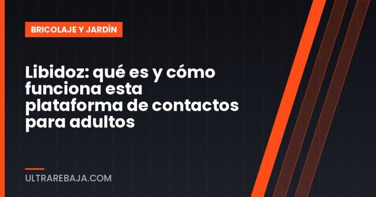 Libidoz: qué es y cómo funciona esta plataforma de contactos para adultos