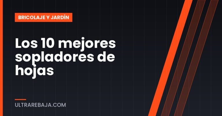 Los 10 mejores sopladores de hojas