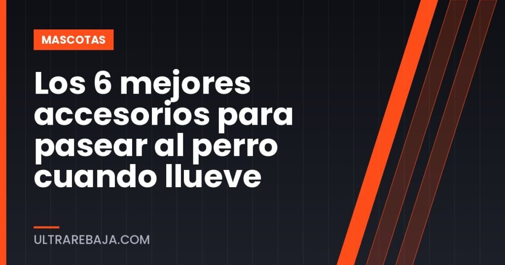 Los 6 mejores accesorios para pasear al perro cuando llueve