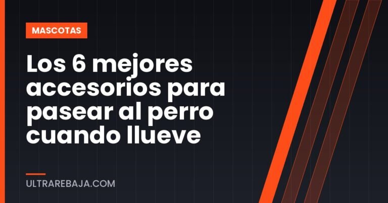 Los 6 mejores accesorios para pasear al perro cuando llueve