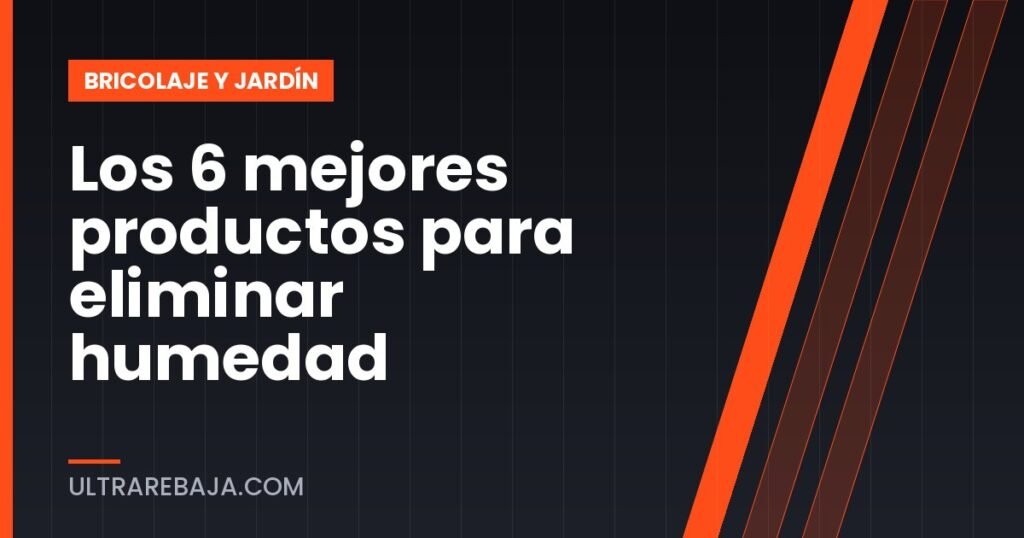 Los 6 mejores productos para eliminar humedad