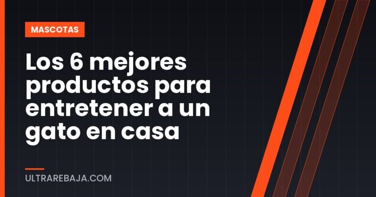 Los 6 mejores productos para entretener a un gato en casa