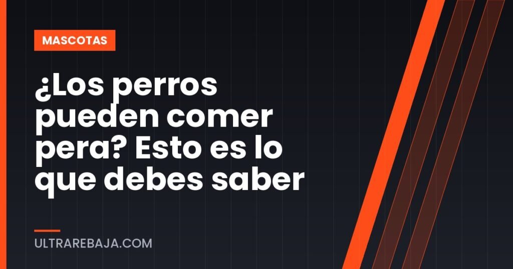 ¿Los perros pueden comer pera? Esto es lo que debes saber