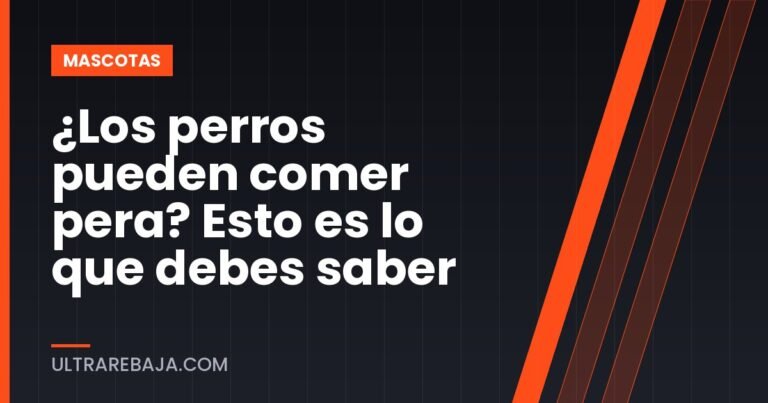¿Los perros pueden comer pera? Esto es lo que debes saber
