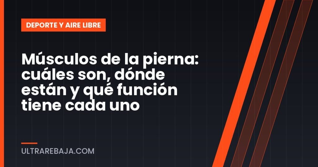 Músculos de la pierna: cuáles son, dónde están y qué función tiene cada uno