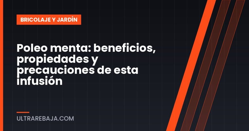 Poleo menta: beneficios, propiedades y precauciones de esta infusión