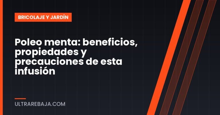 Poleo menta: beneficios, propiedades y precauciones de esta infusión