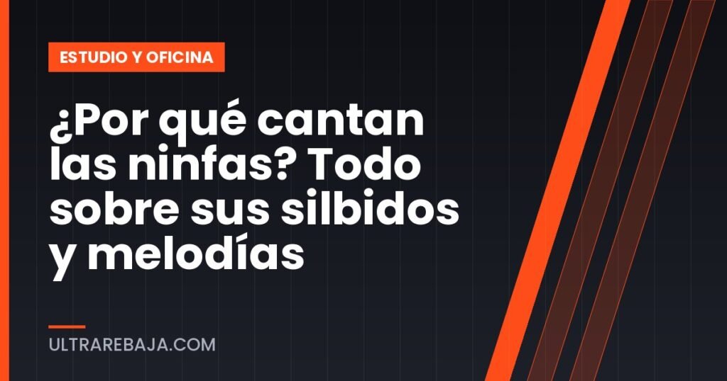 ¿Por qué cantan las ninfas? Todo sobre sus silbidos y melodías