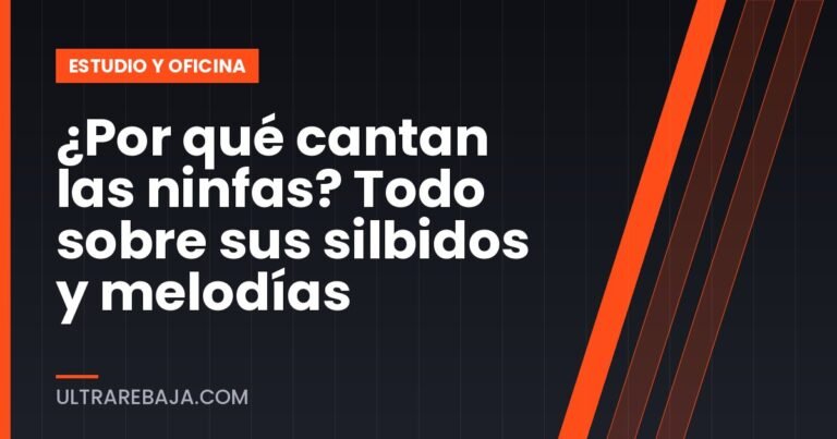 ¿Por qué cantan las ninfas? Todo sobre sus silbidos y melodías