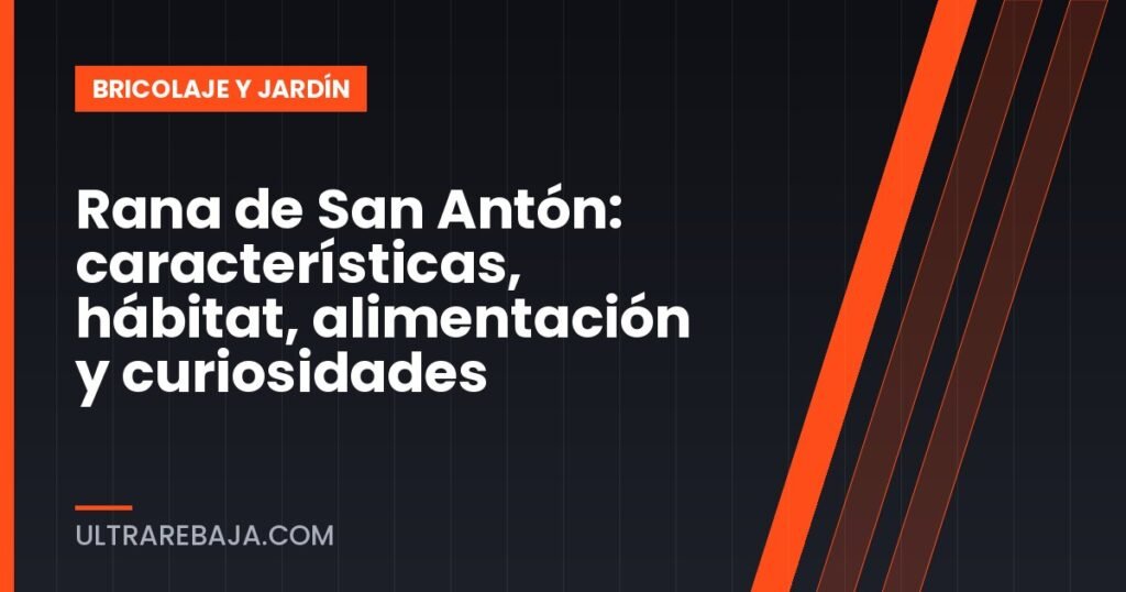 Rana de San Antón: características, hábitat, alimentación y curiosidades
