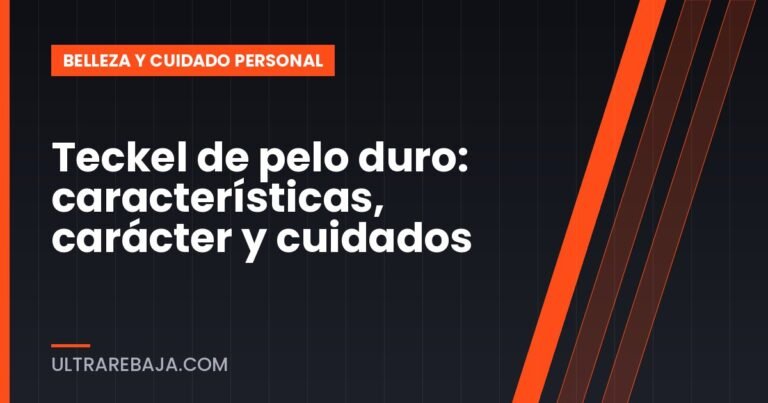 Teckel de pelo duro: características, carácter y cuidados