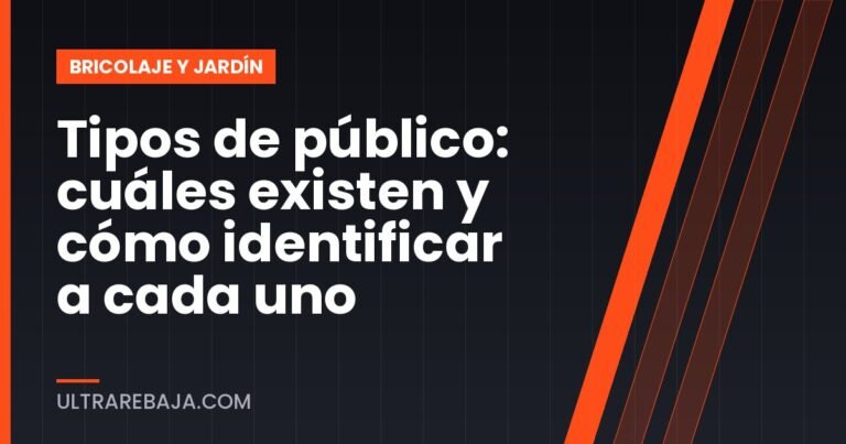 Tipos de público: cuáles existen y cómo identificar a cada uno